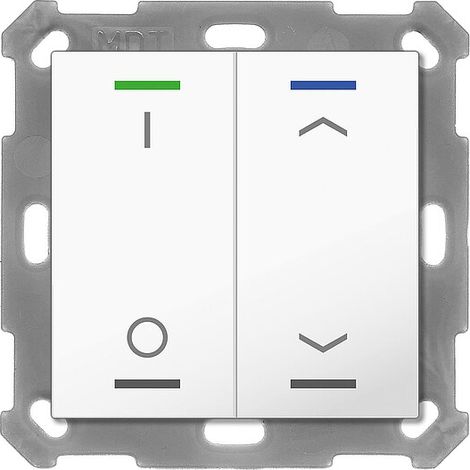 MDT technologies Taster Light 55 2-fach RGBW,rws/glä BE-TAL5502.D1