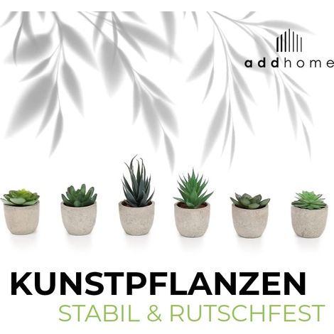 albo monstera kaufen Shop Variegated Monstera Albo Cutting Plant main image 1
