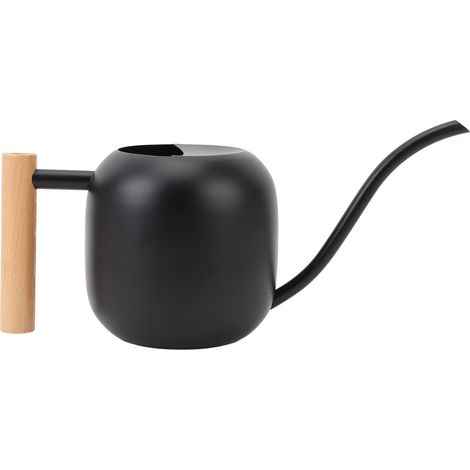 Arrosoir d'intérieur en acier inoxydable avec manche en bois et bec long pour plantes d'intérieur, fleurs, succulentes, bonsaï, 1,2 l, noir (1/5)