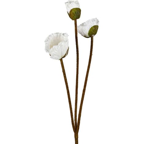 Fleur artificielle polyester Pavot écru 90cm (1/3)