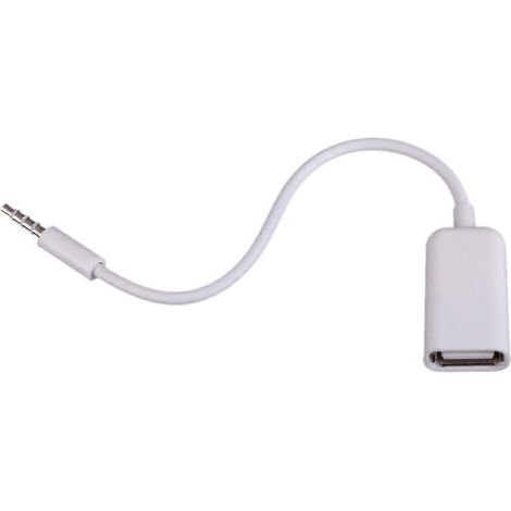 Câble adaptateur audio USB femelle vers prise jack mâle AUX 3,5 mm - FFY (1/4)