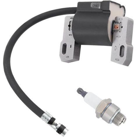 Pair Module de Bobine d'allumage pour Briggs & Stratton 796964 695711 555530 557040 590454 802574 492416 493237 491760 692605, 12A100 121A12 110432 110492 FT50 JS1150 CS3310 Moteur de série (1/5)