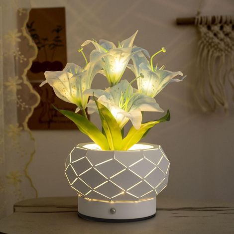 Sollbry Veilleuse dans un pot géométrique en fer,3couleurs de lampes de table à intensité variable,convient pour les tables de chevet des enfants,décoration (1/5)