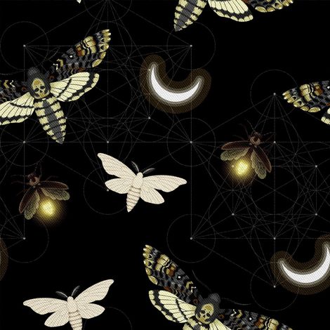 Telas decorativas para exteriores Oxford - Motiv Motten in der Nacht I DX619 (1/5)