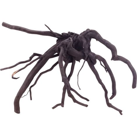 L Black Spider Wurzel Nr.5211 Fingerwurzel Echtholz Deko Aquascaping