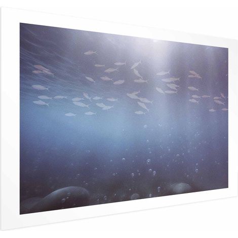 Poster – Fische in der Tiefe (1/4)