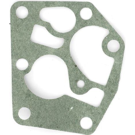 Carburador, adecuado para diafragma y cebador de carburador Briggs & Stratton 795083 495770. (1/5)