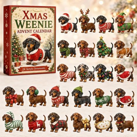 Calendrier de l'Avent Teckel 24 ornements acryliques, décorations sapin de Noël, cadeau de Noël (1/5)