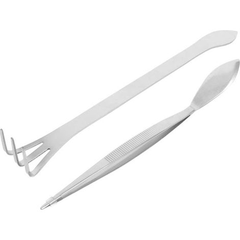 Kit Outils Bonsaï Inox 2 Pièces pour Jardinage Intérieur, Pince à Épiler et Râteau Compact 17 Cm, Outils de Plantation (1/5)