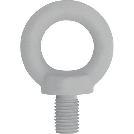 Kleinsorge Anneau de levage DIN 580 Filetage M16 - 66000161