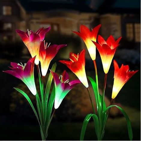 Lot de 2 Lampes Solaires Fleurs de Lys Élégantes - Éclairage LED pour Jardin et Terrasse [Classe d'énergie A+] (Rose & Violet) (1/5)