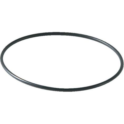 SYR Ersatzteil O-Ring zur Filtertasse für Drufi max, 2315.00.941