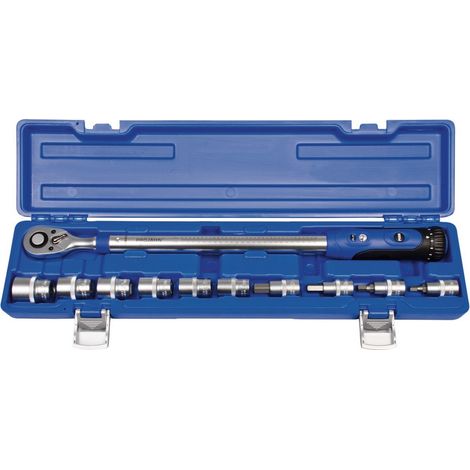 Projahn 1/2 Drehmomentschlüssel-Set, 11-teilig TORQü-PROFI 200 + Stecknusseinsätze Bereich: 40-200 Nm Toleranz: 4% (1/4)