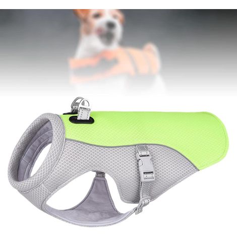 Kühlweste für Hunde (Grün, M) – Kühljacke für Hunde – Kühlweste für Hunde – Hundekühlung – Kühlweste – Mit verstellbarem D-Ring – Atmungsaktiv (1/5)