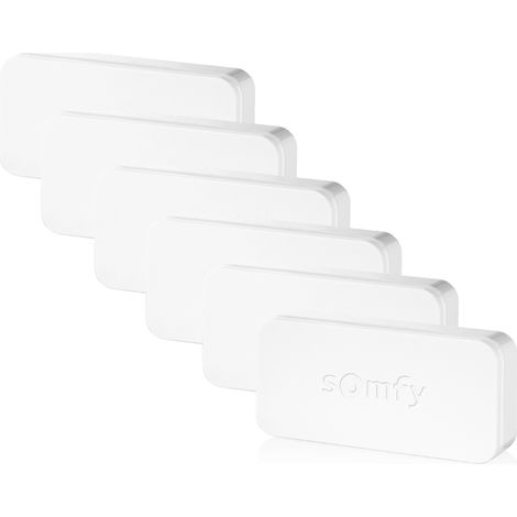 SOMFY 1875250 - Pack de 6 IntelliTAG - Détecteurs auto-protégés de vibration pour intérieur ou extérieur