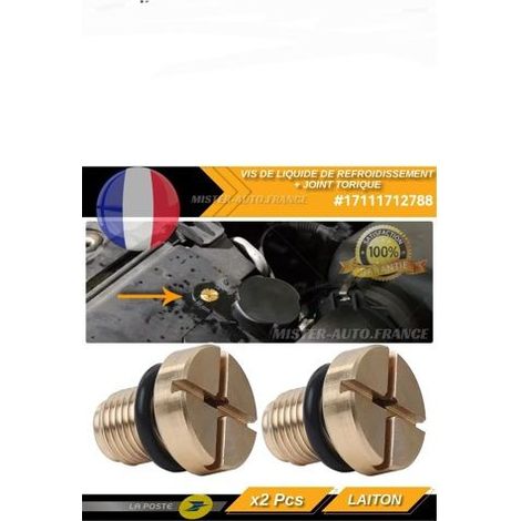 Vis Purge E30 E36 E31 E34 E46 E39 E38 Mini Cooper (1984-2006) -