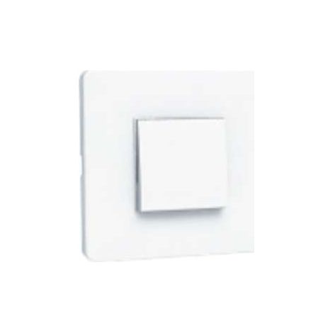 Bouton poussoir BOUTONBOST NATHER 548772
