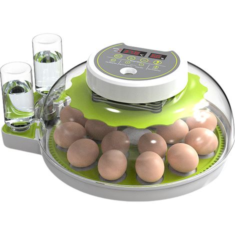 Incubatrice per uova con display dell'umidità, candela per uova, girauova automatico, per polli da cova (1/5)