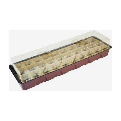 Serre avec 30 pots 54,5 x 16,5 x 11cm (1/2)