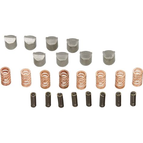 Kit di riparazione Walterscheid, molla frizione a cricchetto, colore rame AG107