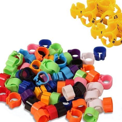 200 anelli colorati per zampe di piccione, utilizzabili anche come fermagli per l'identificazione di pappagalli e uccelli. (1/2)