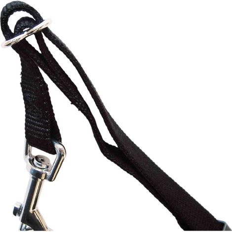 Arnés para Perro Trixie Negro XS Coche (1/2)