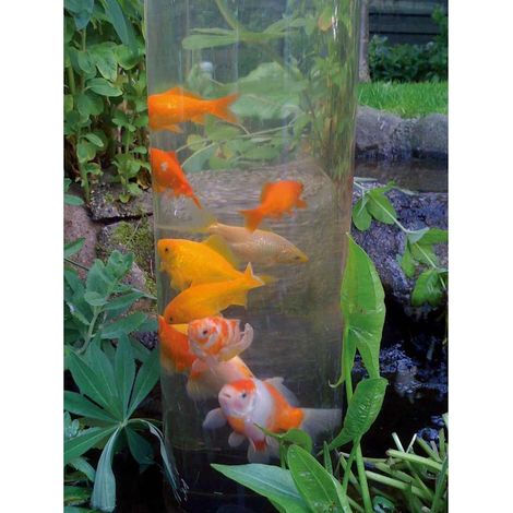 Ubbink Torre per pesci 50 cm Acrilico (1/4)