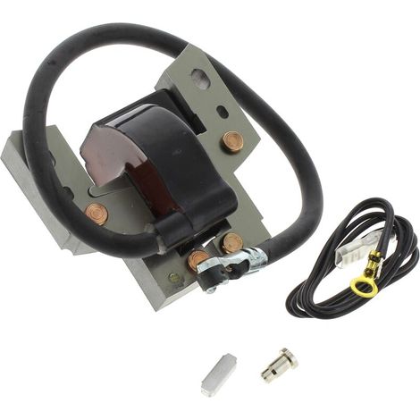 Bobine d'allumage 796964 - moteur de tondeuse briggs & stratton (1/4)
