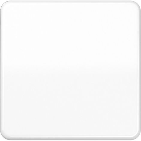 Jung Wippe aws CD 590 BF WW (1/2)