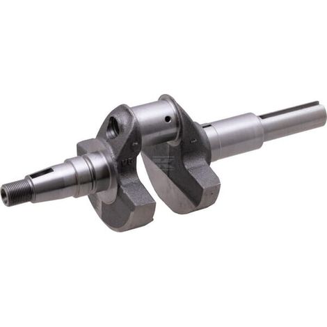 Vilebrequin BRIGGS & STRATTON 84004538 (1/5)