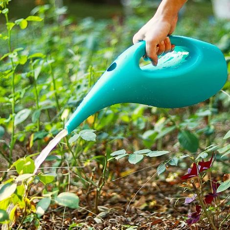 (2,5 L Gris foncé) Arrosoir à long bec de 1,5 L ou 2,5 L pour plantes vertes et fleurs, idéal pour le jardinage d'intérieur et la culture en pot. (1/4)