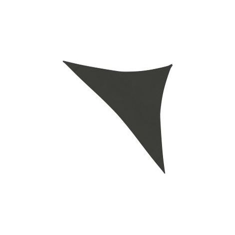Voile d'ombrage 160 g-m² Anthracite 4x4x5,8 m PEHD (1/5)
