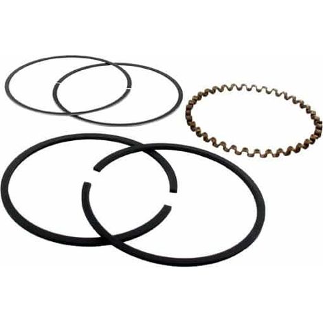 Segments BRIGGS et STRATTON 391781 - 394960