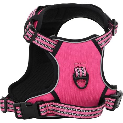 Harnais pour chien avec laisse et collier réglable Rose XL (1/5)