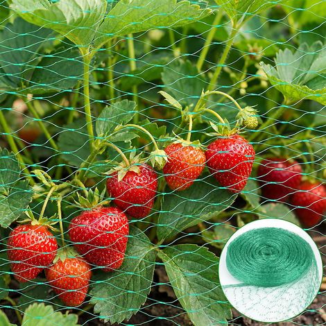 Filet anti-oiseaux vert, 4 x 6 m, filet de protection pour plantes, filets anti-oiseaux pour bassins, et arbres fruitiers (1/5)