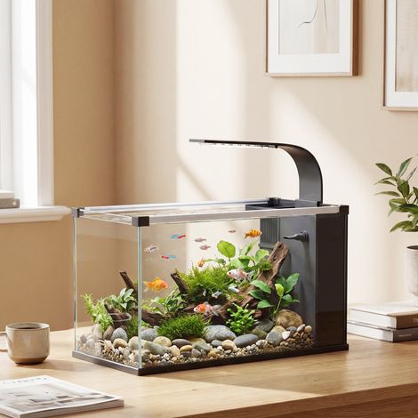 Aquarium verre trempé 24 L filtre lumière LED pompe eau
