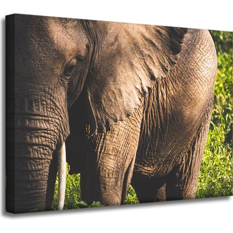 Leinwanddruck „Tiere, Elefant, Nahaufnahme“, 40 x 30 cm