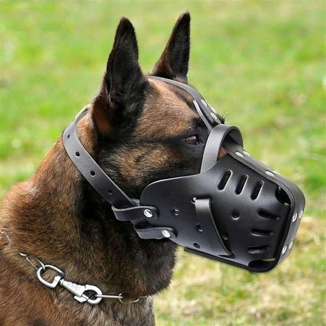 Muselière pour Berger Allemand Malinois, protège-Dents en Cuir pour Mordre, mâcher, toilettage, réglable, Respirant, pour Chiens de Taille Moyenne et Grande, Noir, Tour de Cou - 35 x 50 cm (1/5)