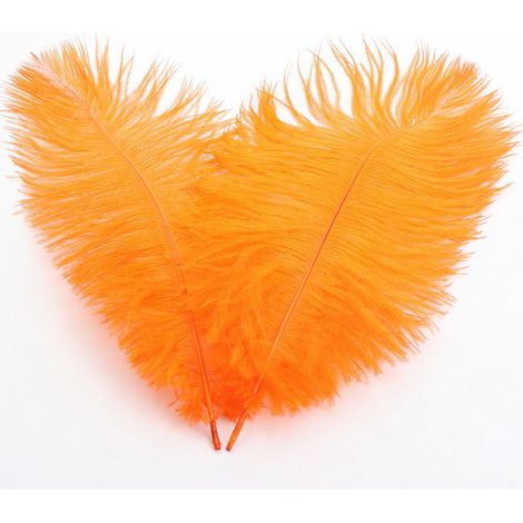 Plumes D Autruche Naturelles - 32 cm - Décoration Mariage Centre De Table Arrangement Floral DIY Noël - 1 Pièce Orange (1/5)