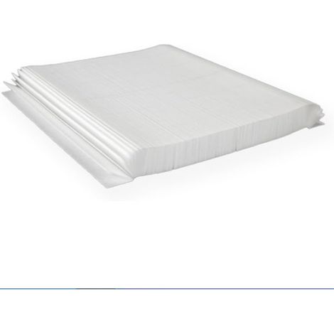 Filtre blanc pour spas des séries Bullfrog M, Swim et A-AquaForge (1/4)