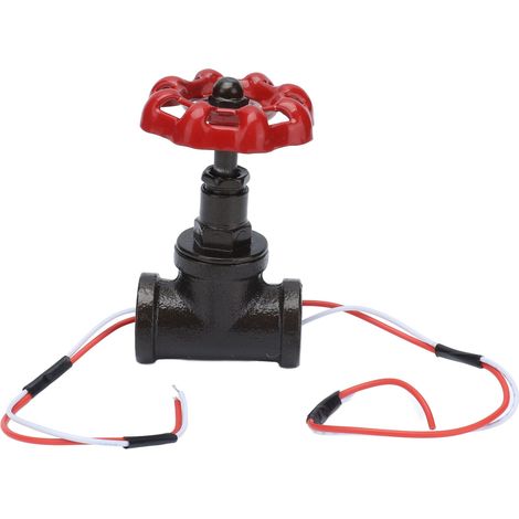 Interrupteur Rétro Style Steampunk G3/4 avec Fils pour Lampe Robot Industriel 12V 120V