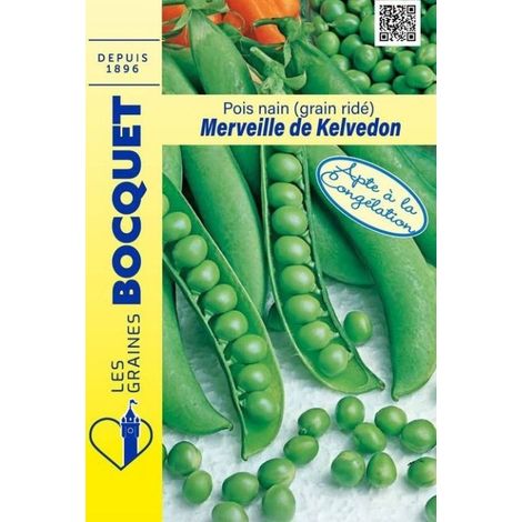 Pois nain Merveille de Kelvédon  - 200g