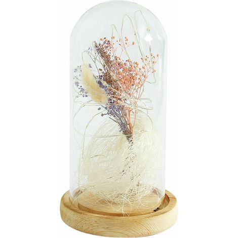 Green Mobility-Led Micro Paysage, Gypsophila, Couvercle En Verre, Decor De Lumiere De Nuit, Multicolore (1/5)
