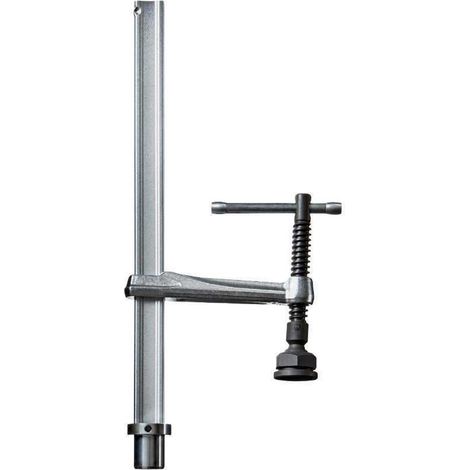 Elemento de sujeción TWM28 con placa de presión especial máx. 300 mm para agujero D.28 mm BESSEY (1/5)