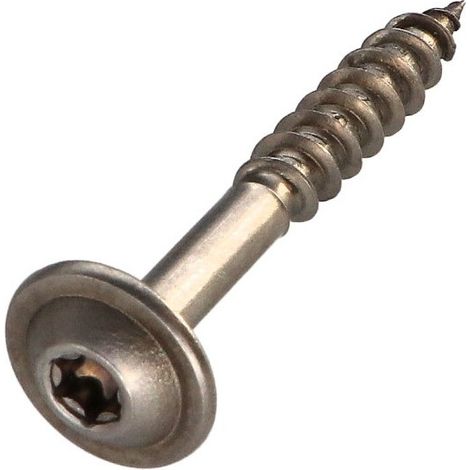 Vis charpente tête disque Inox A2 8X50 Filetage total TORX T40 Diamètre de tête: 20-10 pièces