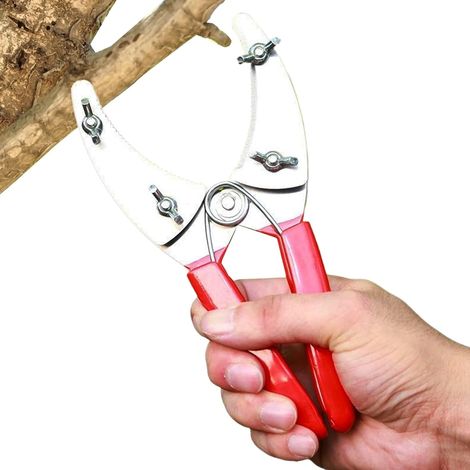 Tesoura De Jardinagem - Podador De Galhos Para Árvores Frutíferas - Tesoura De Jardim Antiderrapante (1/5)