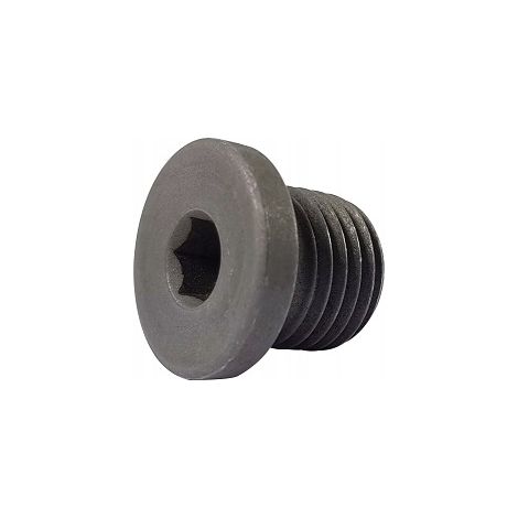 Tapón roscado con brida G 1-1/2 pulgadas DIN 908 (1/5)
