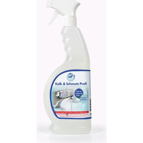 Limescale and Dirt Professional, 650 ml (1/5)