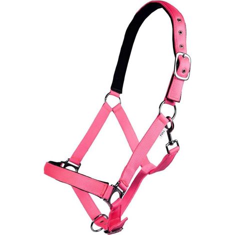 1 Licol En Peluche Motif Étoiles, Doublé, Robuste, Pour Chevaux Et Poneys