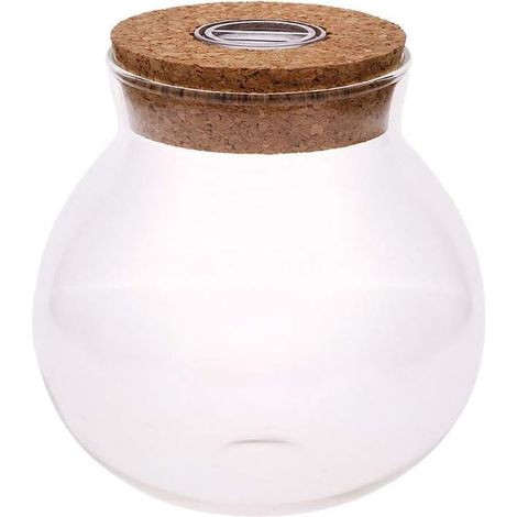 1 Bocal à poissons en verre borosilicate, lumière LED colorée, bouchon en liège, décoration aquarium pour maison et bureau